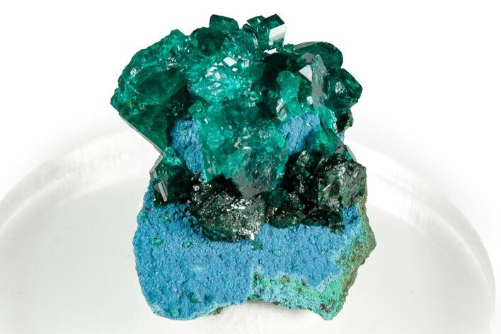 Gemmy Dioptase Crystal Cluster on Plancheite - Sanda, Congo #346114